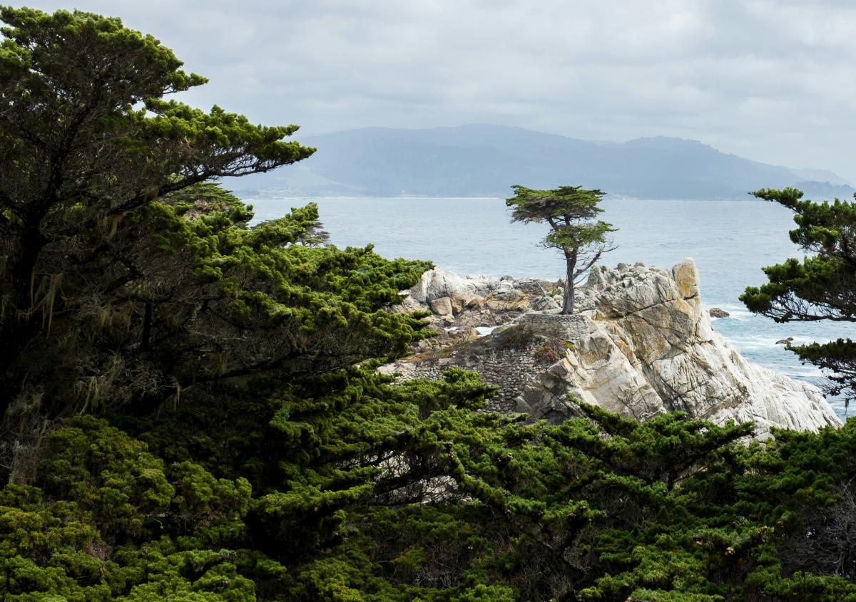 Monterey