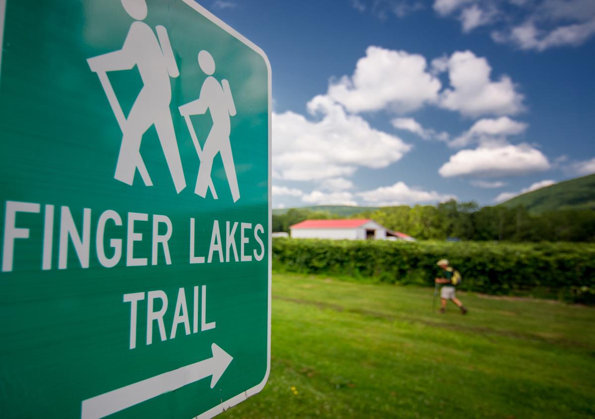 Copy of Finger Lakes Trail Hammondsport DSC2335