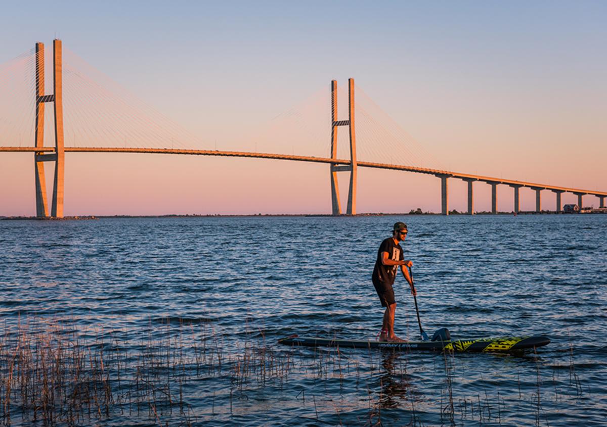 Sidney Lanier Bridge