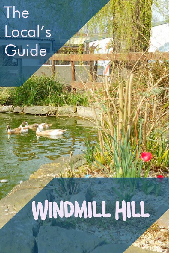 Local's Guide to Windmill Hill - Pinterest