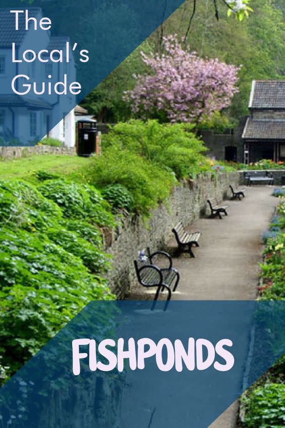 Local's Guide to Fishponds - Pinterest