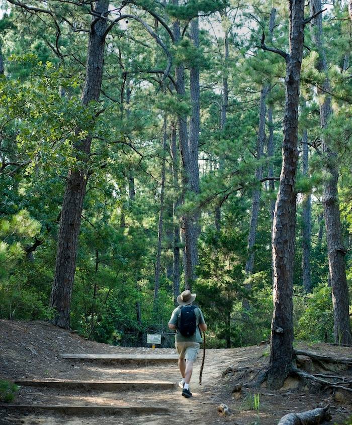 Hike Bastrop State Park