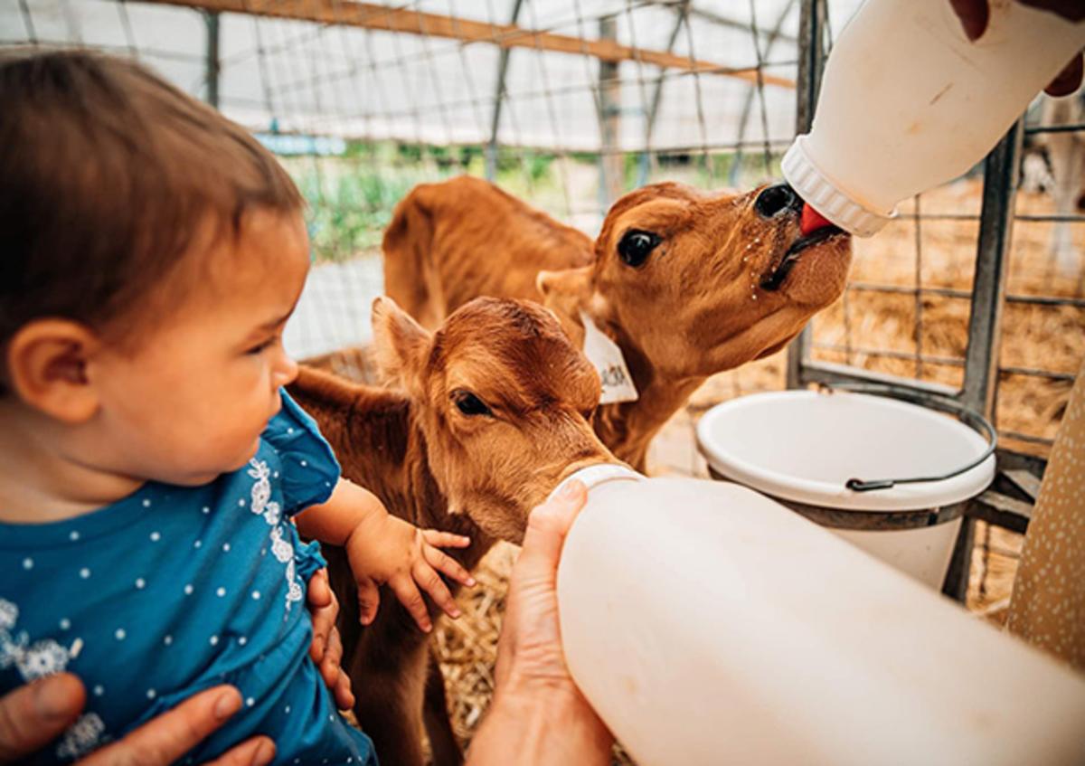 Children At Destiny Dairy Bar