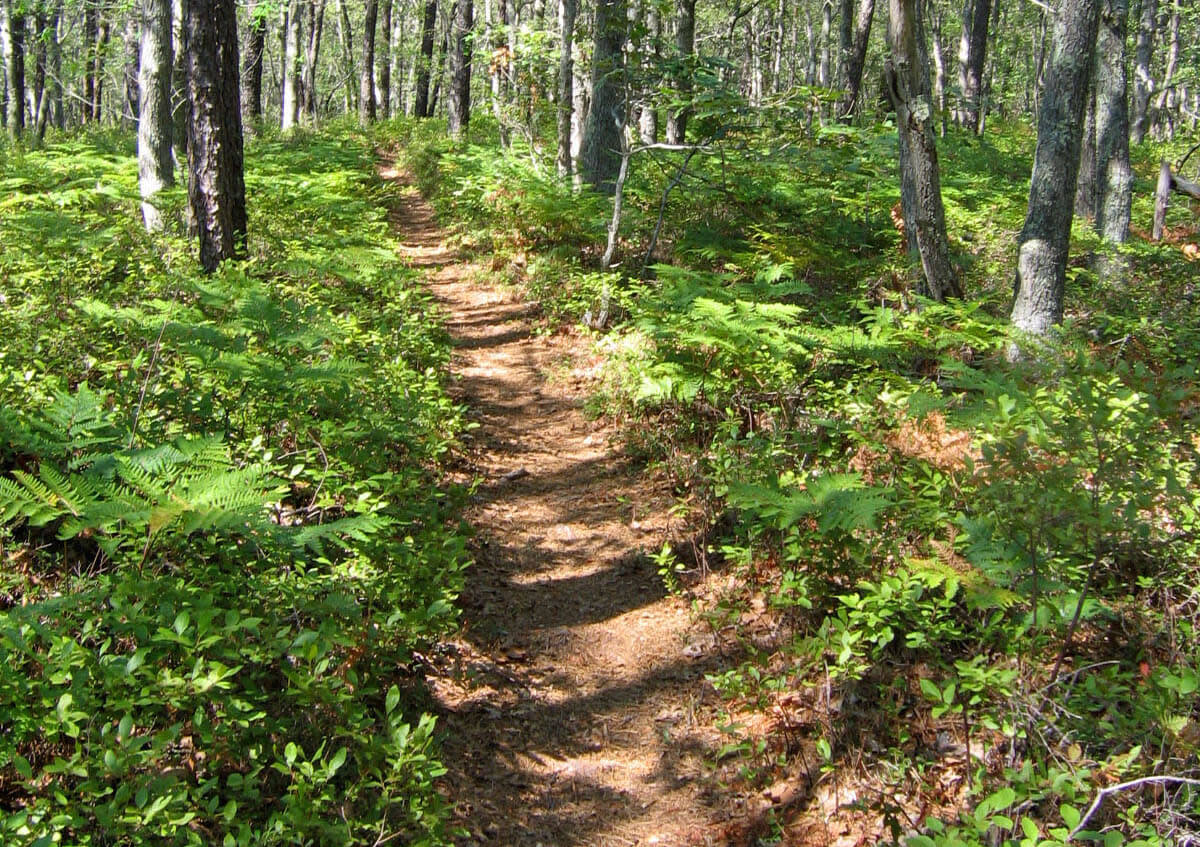 Family-Friendly Fun on Martha’s Vineyard: Top Activities for All Ages
