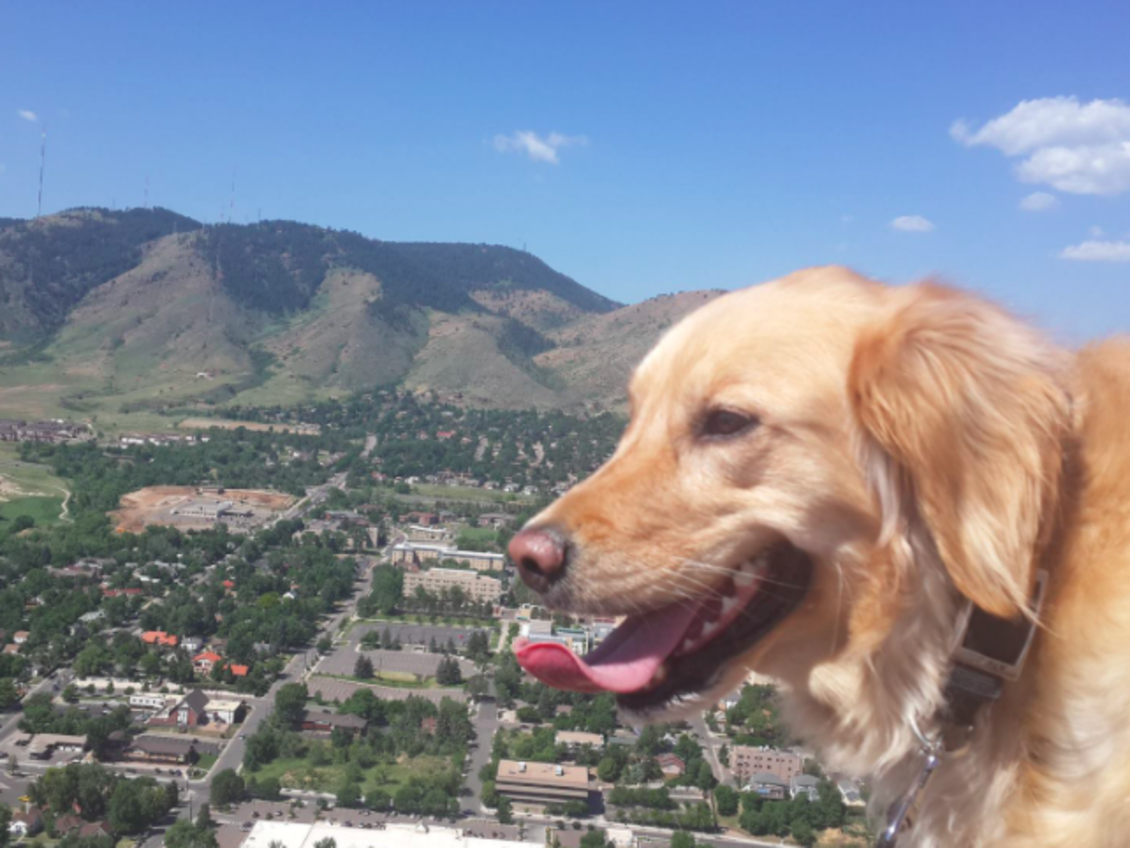 Goldens In Golden 2021 Virtual Celebration Socially Distanced Fun All Month Long