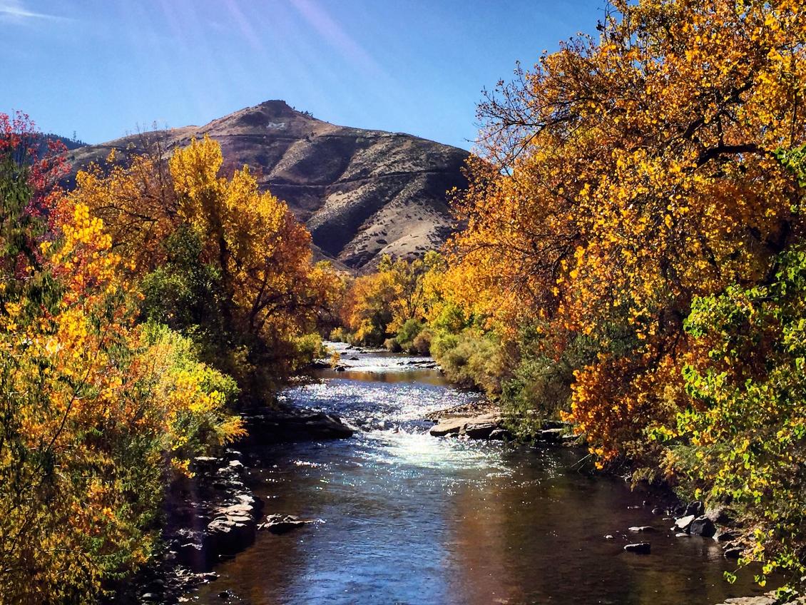 Golden lives up to its name in Autumn