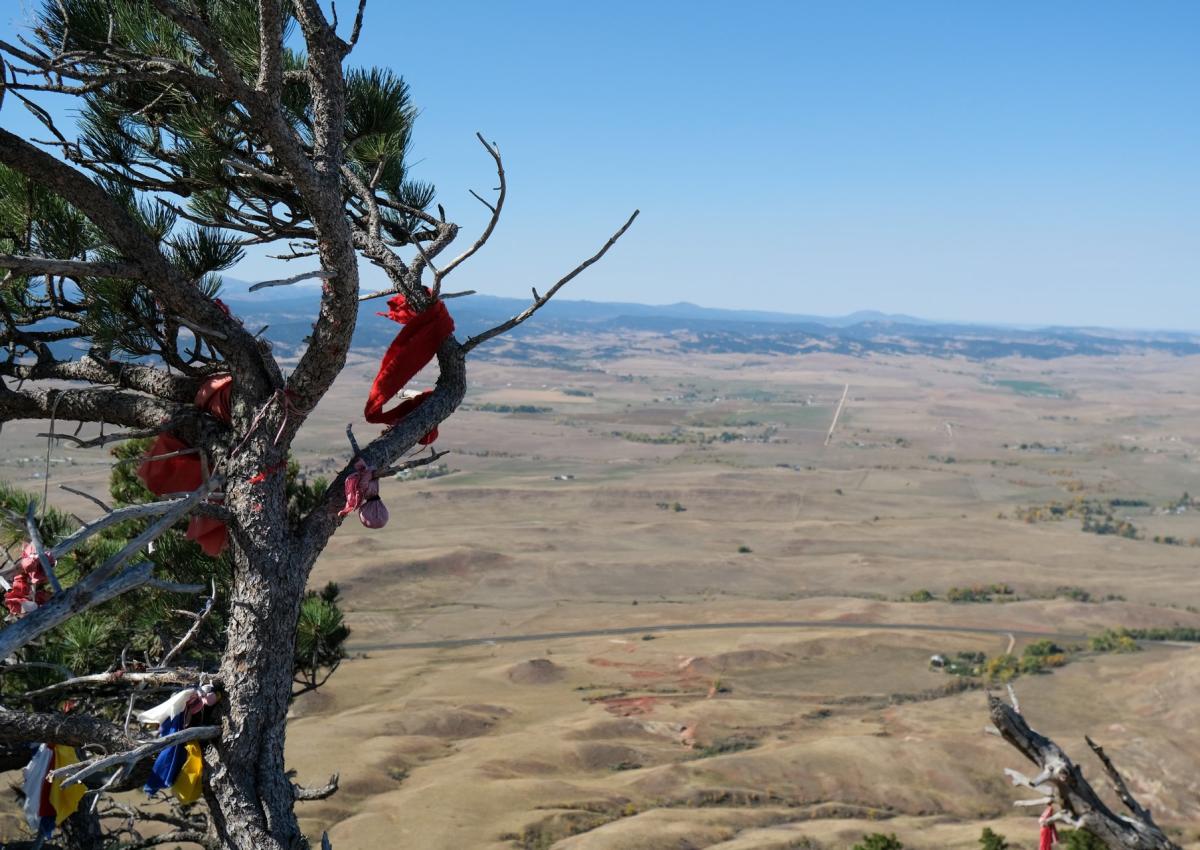 prayer ties on a the summit tree at bear butte state park in south dakota