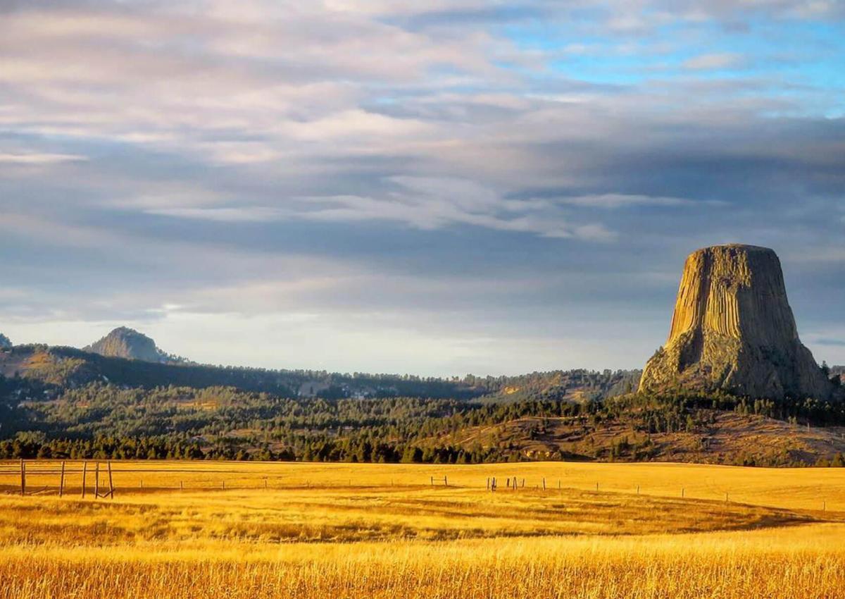 Landscape view of Devils Tower with golden fields around it