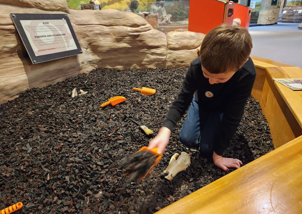 kid digging in the archeology pit at the journey museum in rapid city, sd