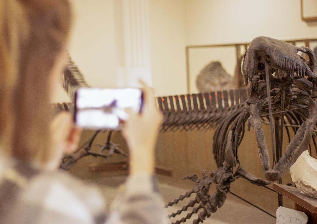 person taking photo of fossil exhibit inside the museum of geology in rapid city sd