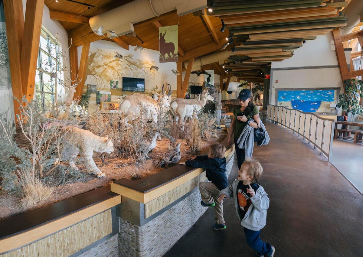 Family touring the indoor exhibits of wildlife found at Outdoor Campus West in Rapid City, SD