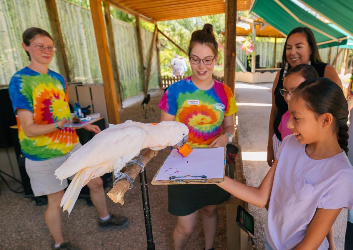 family watching bird use a stamp at reptile gardens in rapid city, sd