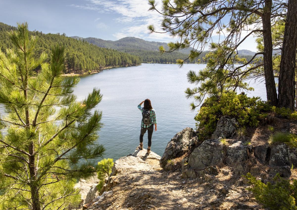person at scenic overlook at sheridan lake in the black hills of south dakota