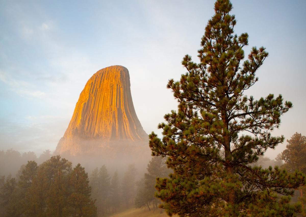 devils tower national monument in wyoming with fog surrounding it and pine trees