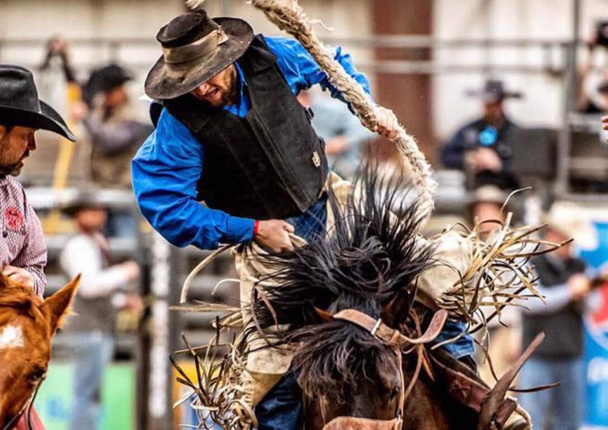 Black Hills Stock Show & Rodeo
