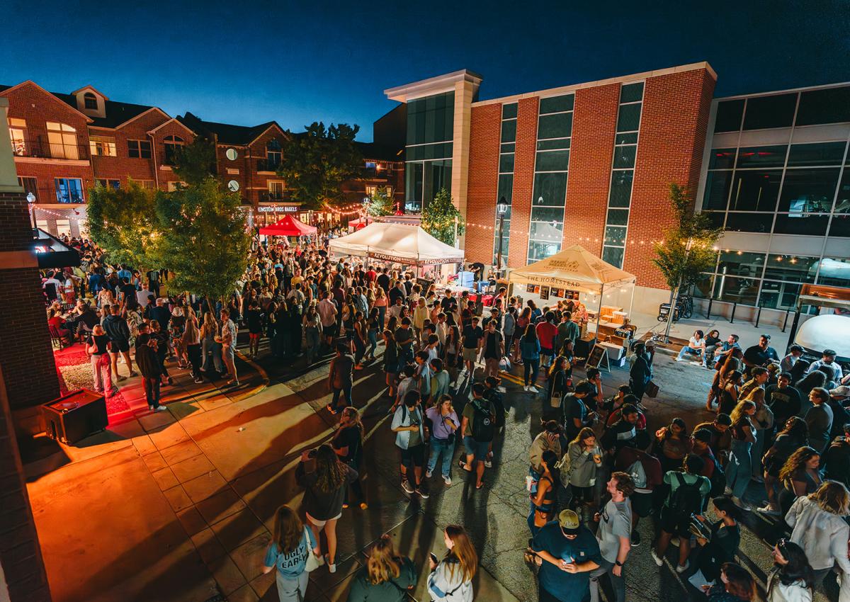 Starry Night Festival