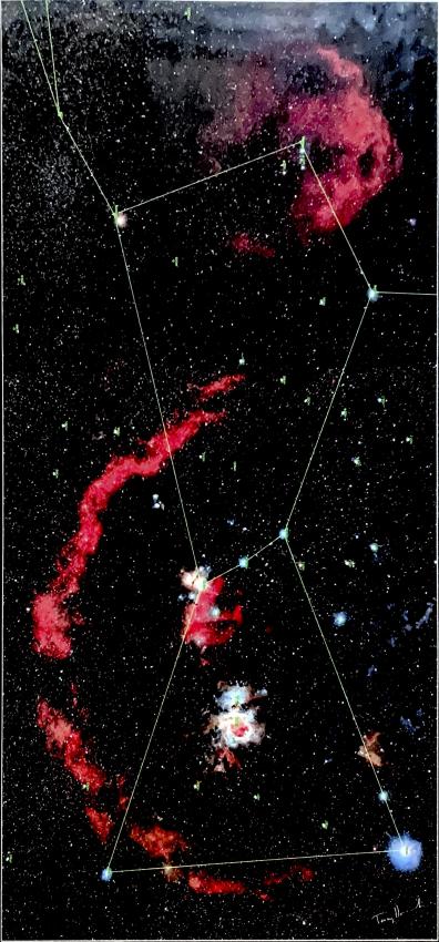 The Constellation of Orion Mosaic By Terry Hancock