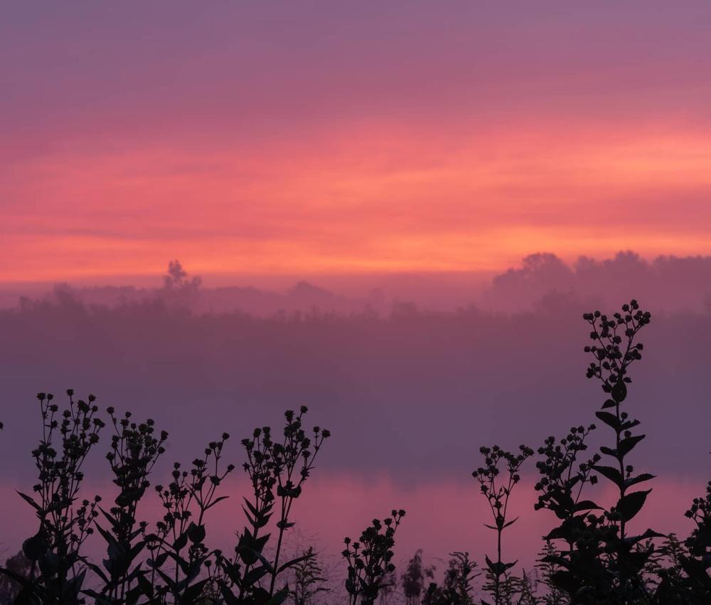 Pink and purple sunrise at Eagle Marsh Nature Preserve in Fort Wayne