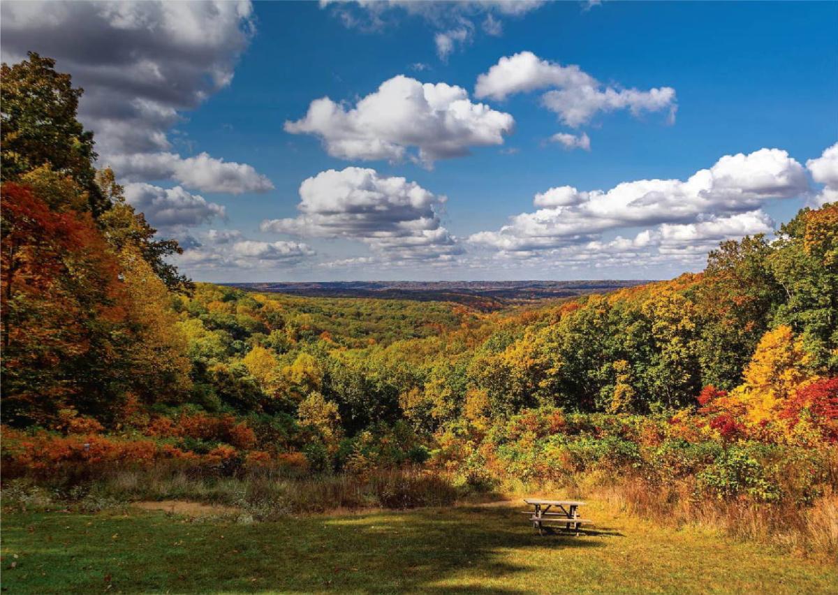 Autumn foliage from a viewpoint in Brown County State Park