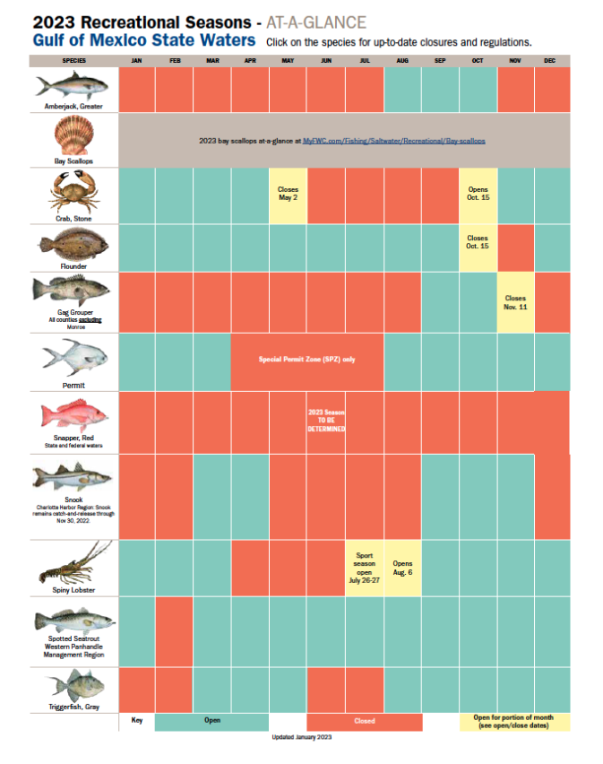 Florida Saltwater Fishing Regulations, PDF