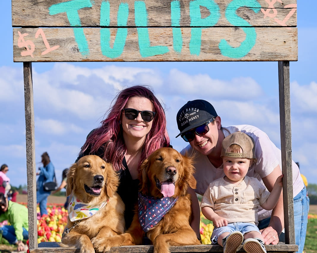 Dog at Tulip Fest