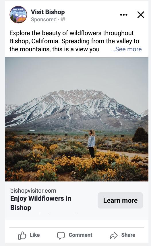 A Facebook ad for Bishop, California, advertising their wildflowers.