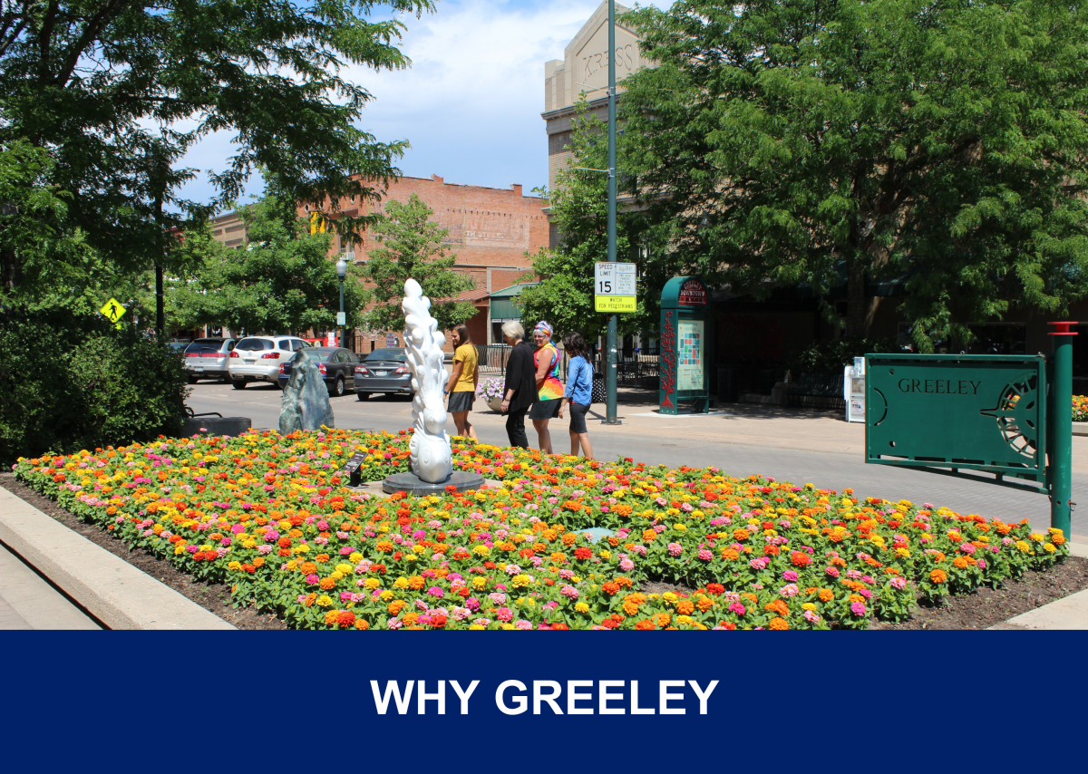 This picture shows four women walking down a sidewalk in downtown Greeley, Colorado. The scene is set in the summer, with green trees lining the sidewalks and a colorful bed of marigold flowers in the foreground.  The group is walking past the flowers, and local downtown shops can be seen along the street behind them.  A green metal sign is also in the foreground, with the word "GREELEY" carved into the metal.