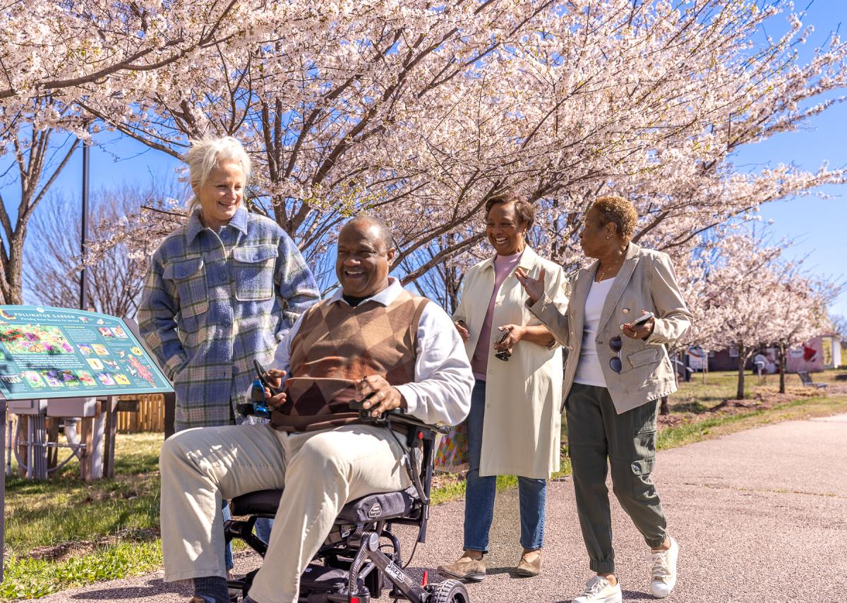 Active Senior - Workhouse Arts Center - Lorton - Cherry Blossom - Spring