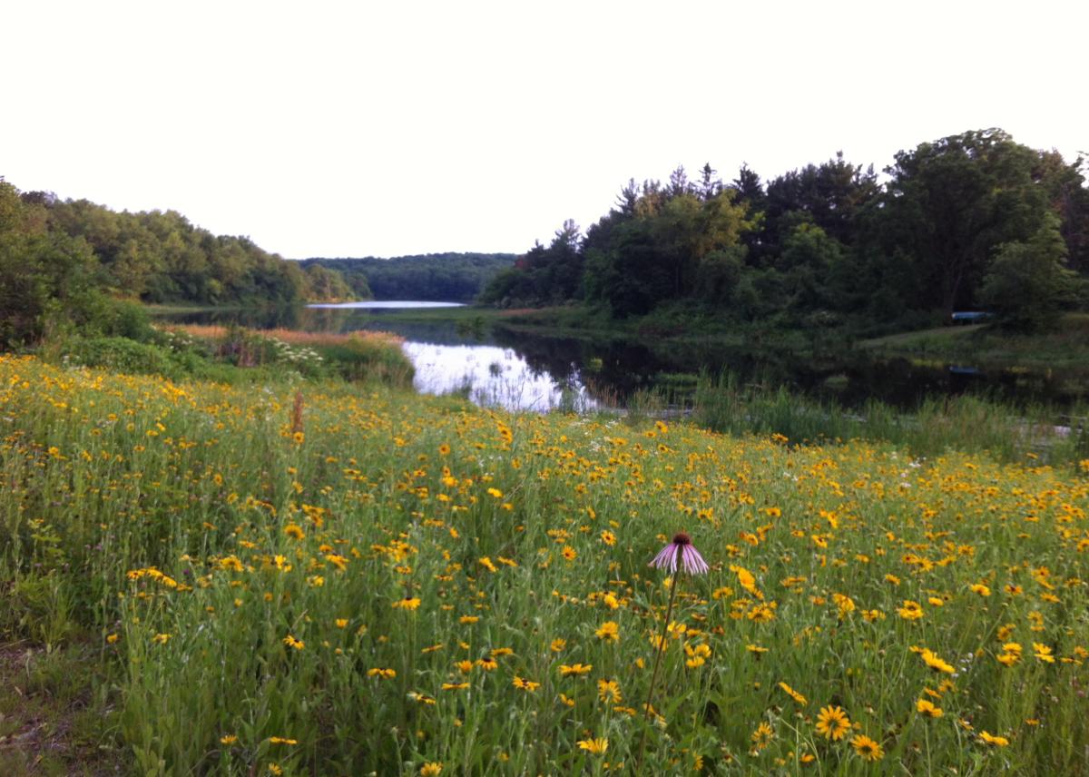 Opossum Lake