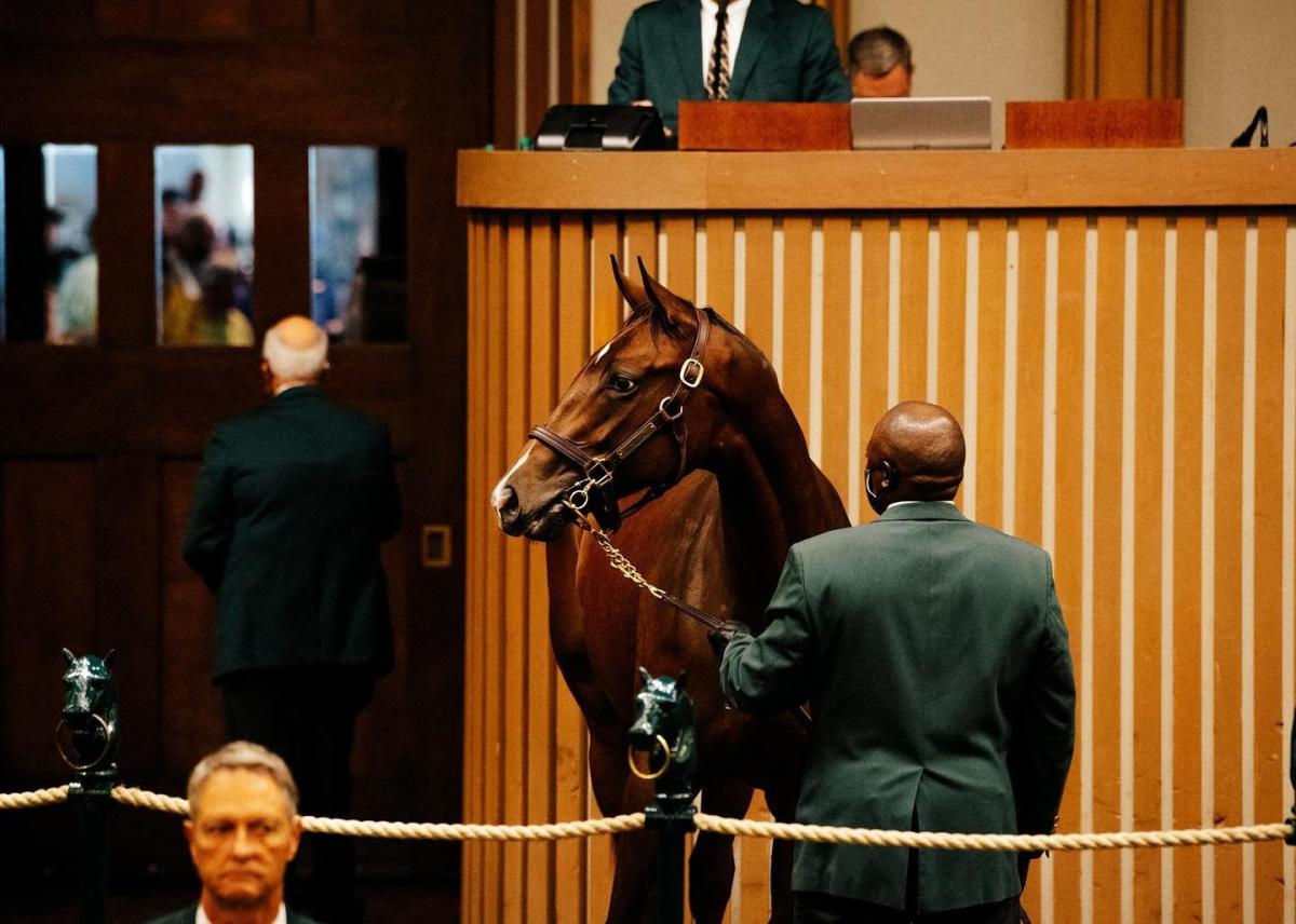 September Sale at Keeneland