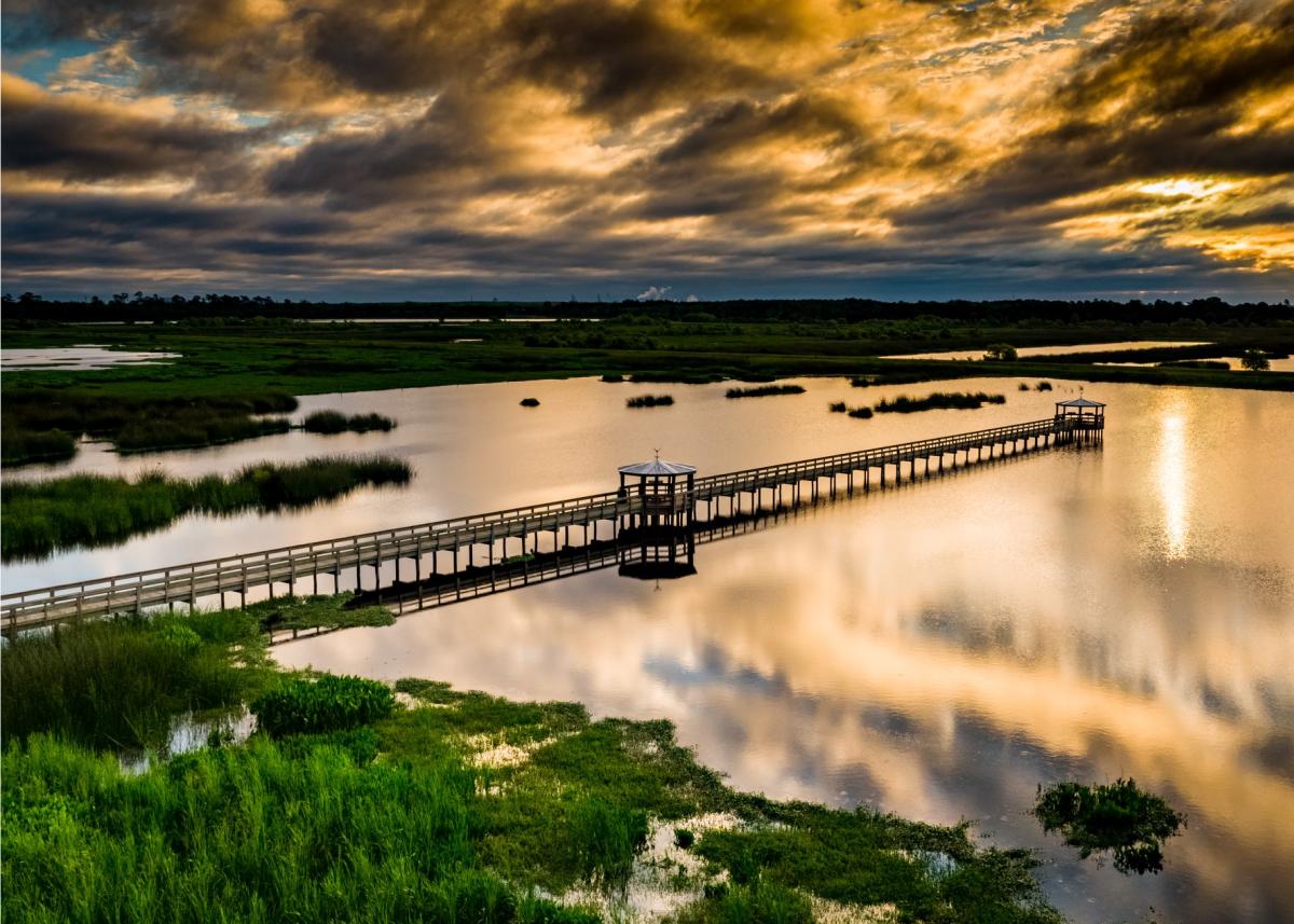 Aerial view of the boardwalk at Cattail Marsh