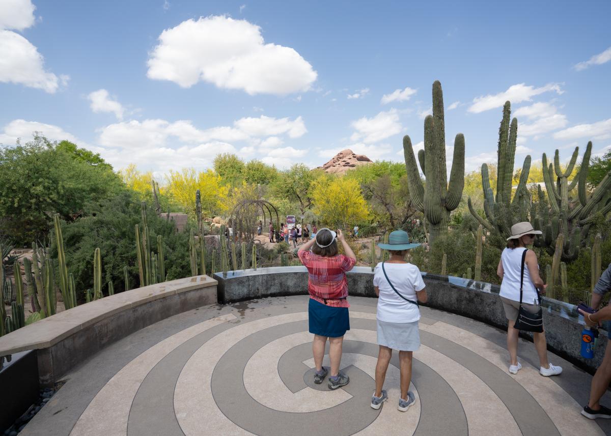 visitors viewing the desert landscape at the garden