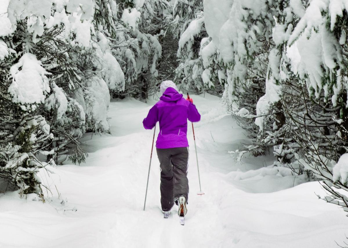 Cross Country Skier