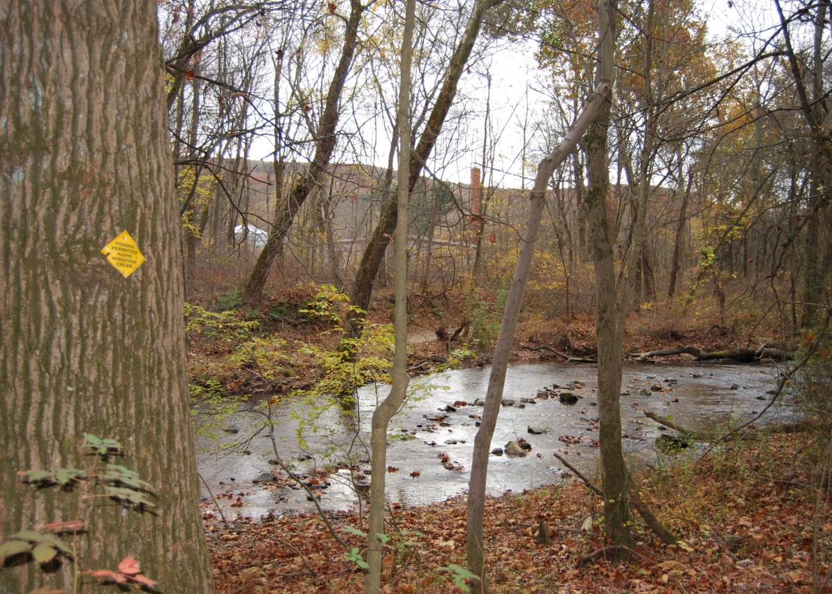 Mount Holly Marsh Preserve