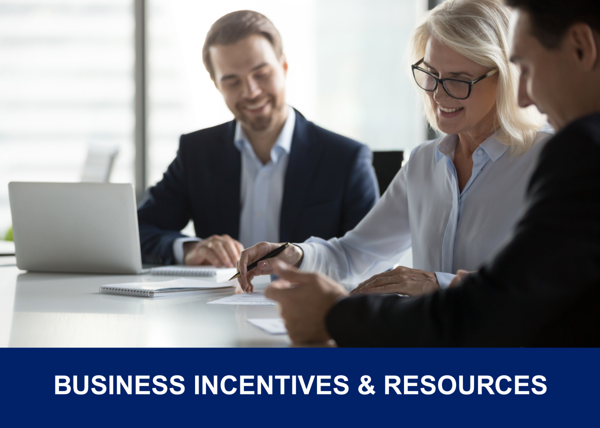 This image shows a picture of a business meeting above the words "BUSINESS INCENTIVES & RESOURCES".  The image links to a new page on the Economic Development website containing a list of financial and business resources.