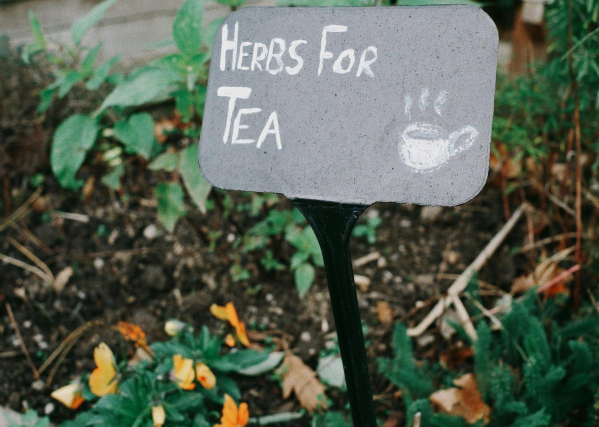 Hand-painted Herbs for Tea sign surrounded by plants and orange flowers in a garden.