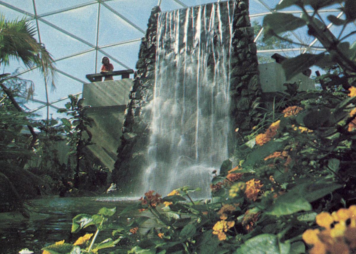 ksm-topeka-rainforest
