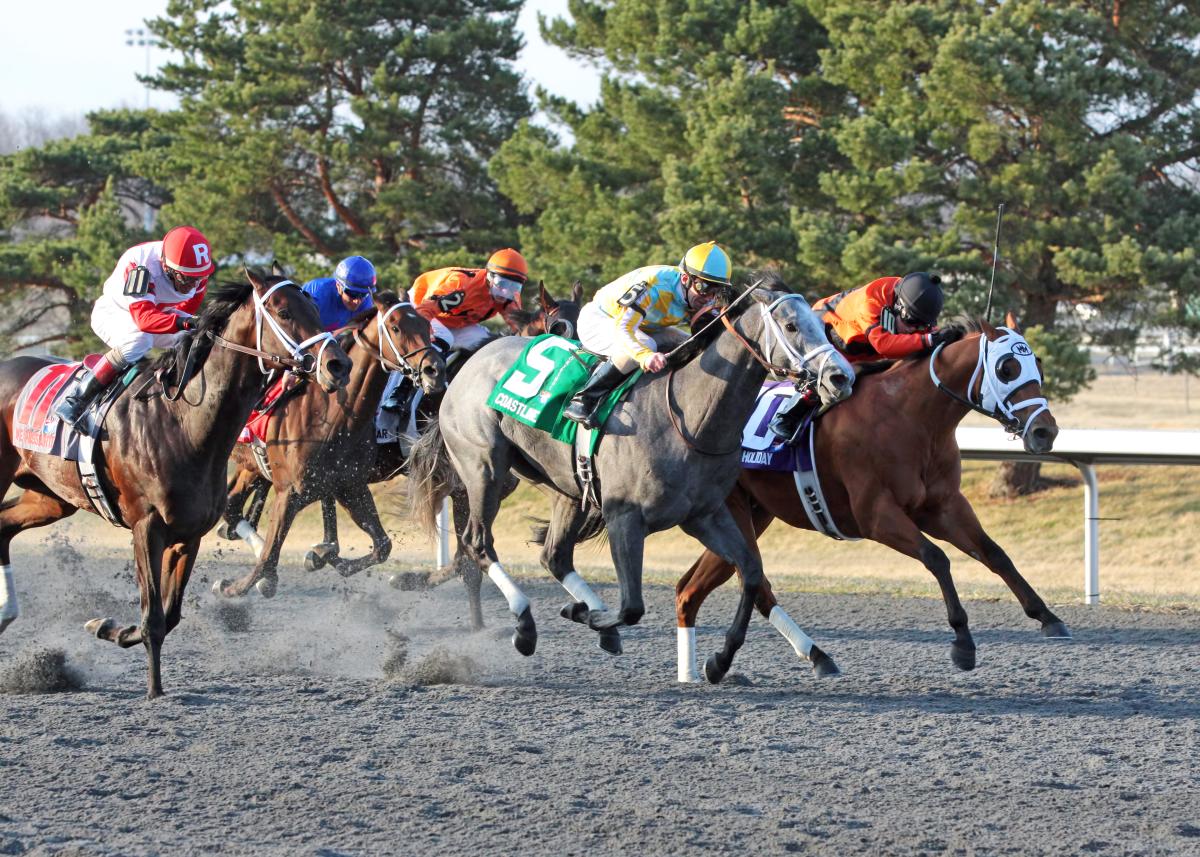 Serena's Pizzeria, Turfway Park