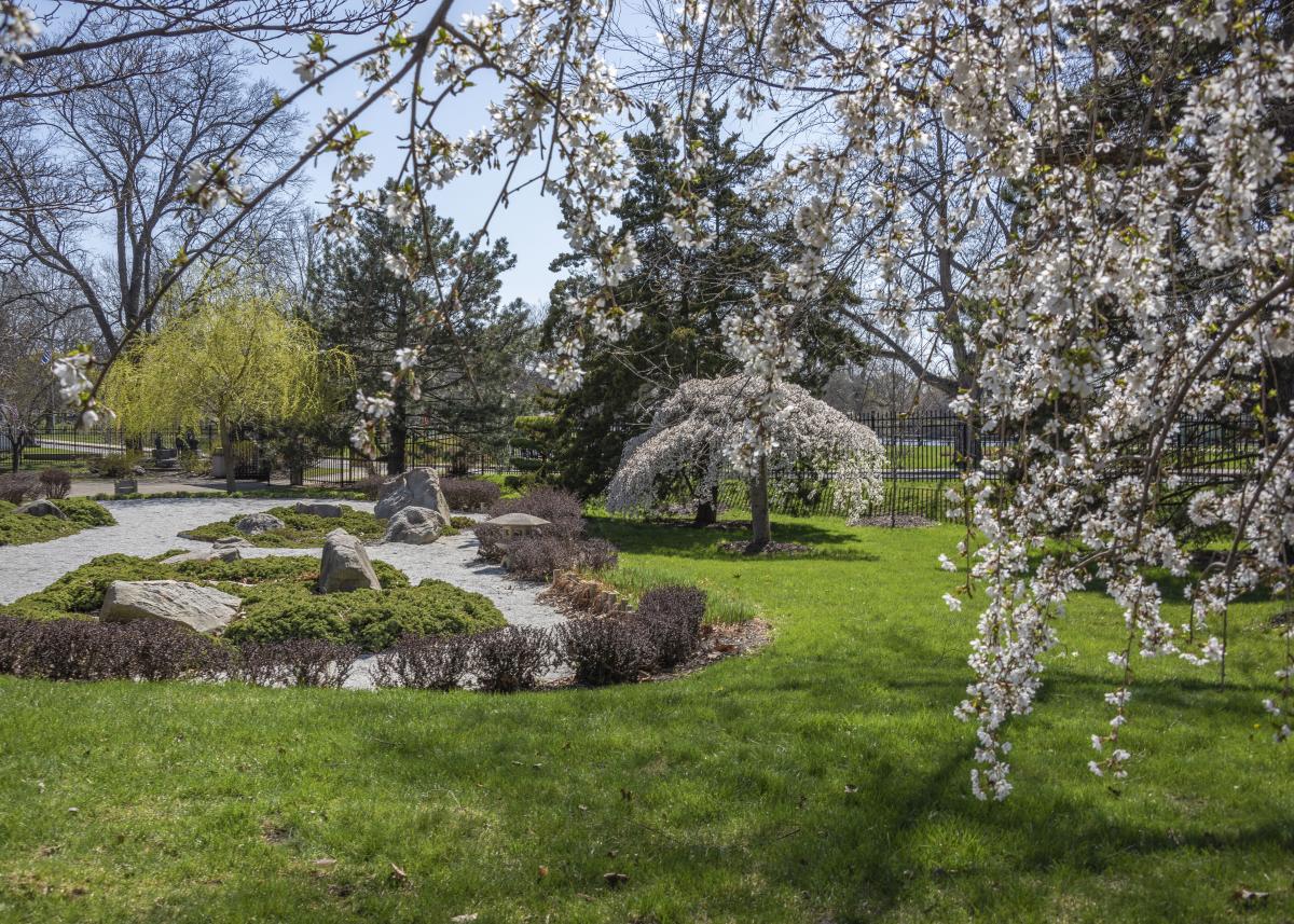 Shiojiri Niwa Japanese Gardens in Mishawaka