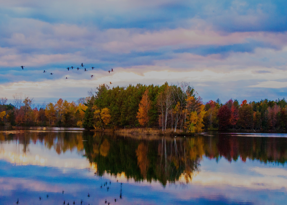 Head out for the best views this fall, in the Stevens Point Area, including a stop at the 280-acre Schmeeckle Reserve.