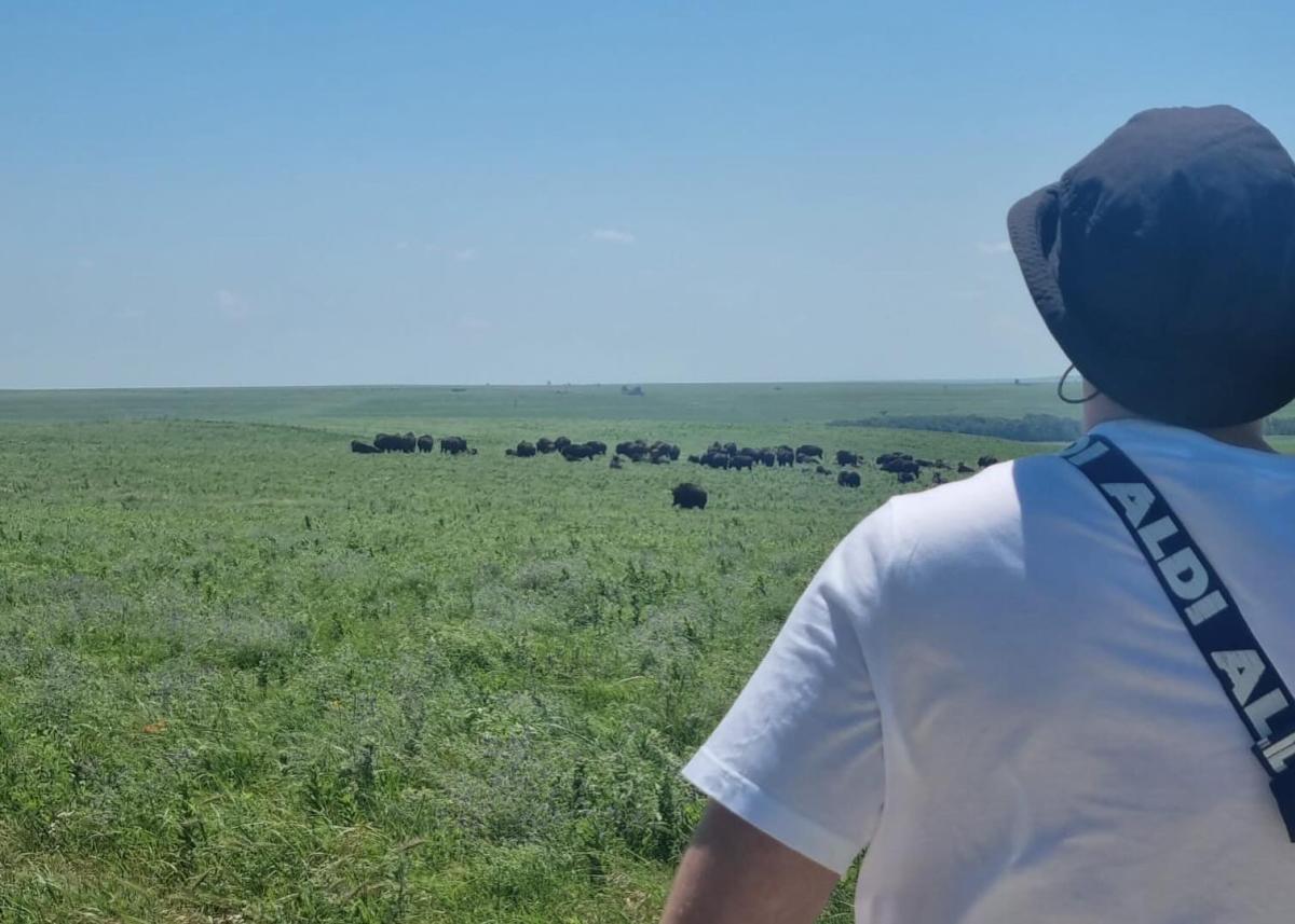 A German traveler looks out over the bison at Tallgrass Prairie Preserve while traveling through Kansas during the World Cup.