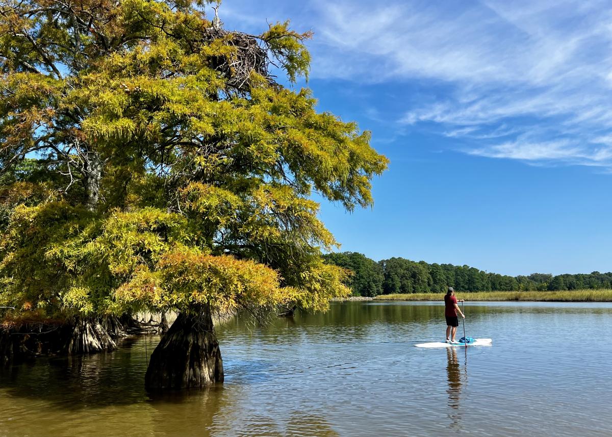 Influencer - Aleah and Seth Myers - Powhatan Creek