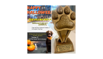 Halloween Pics and pet costume contest @ Island Pet Company