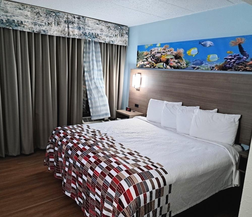 Red Roof PLUS & Suites Virginia Beach Seaside Single room