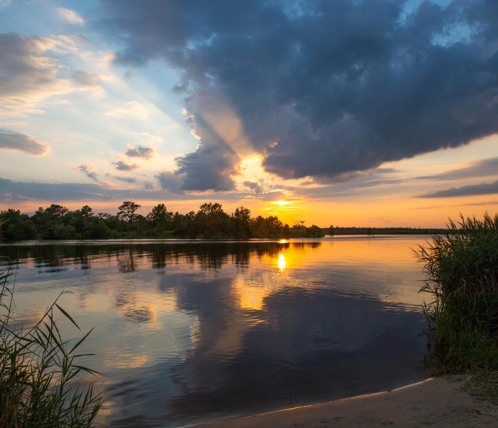 Pungo Ferry Landing Park