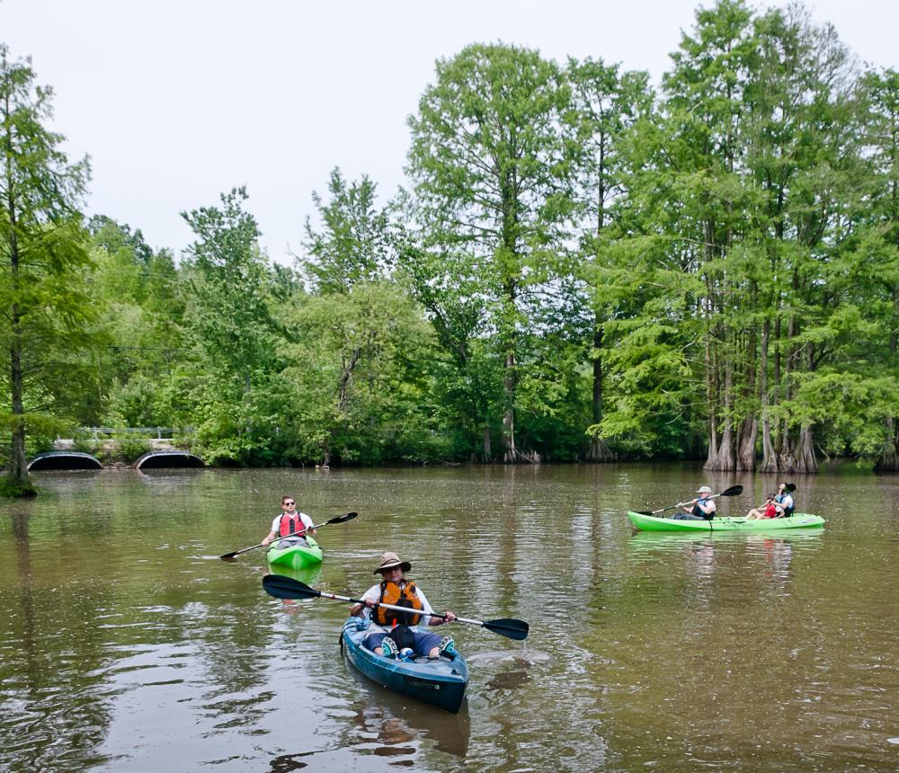 Stumpy Lake Natural Area