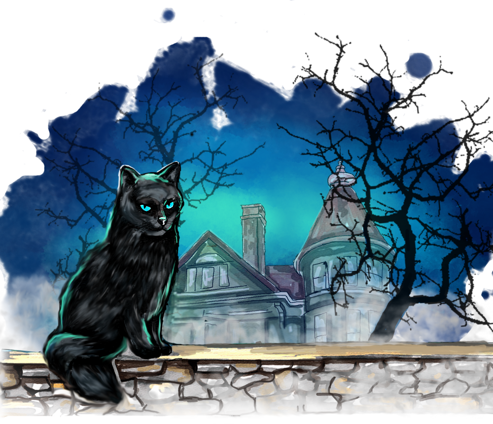 Black Cat Escape Room
