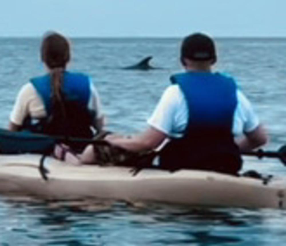 Virginia Beach Dolphin Tours
