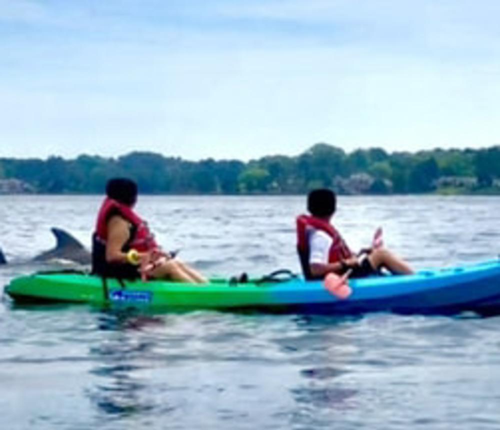 Virginia Beach Dolphin Tours