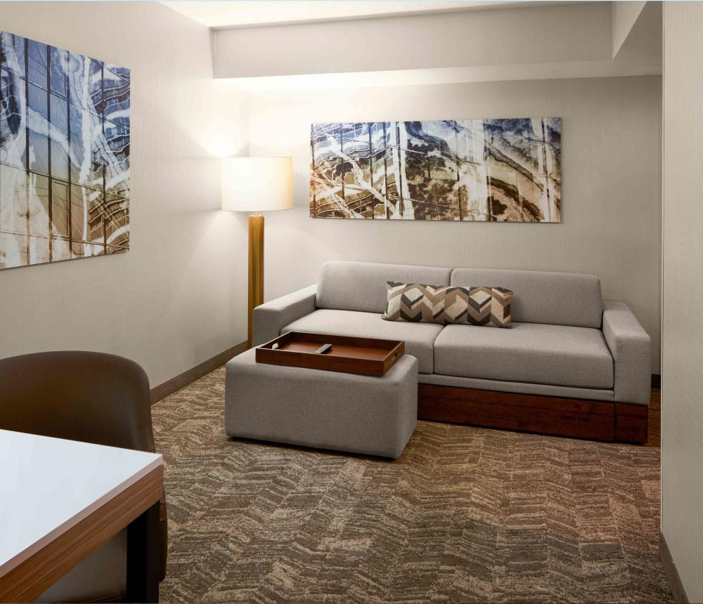 Studio Suite Living Room